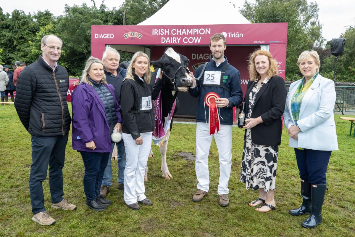 Irish Champion Dairy Cows 2024 