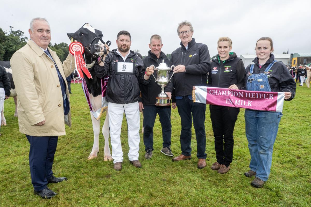 Irish Champion Dairy Cows 2024 