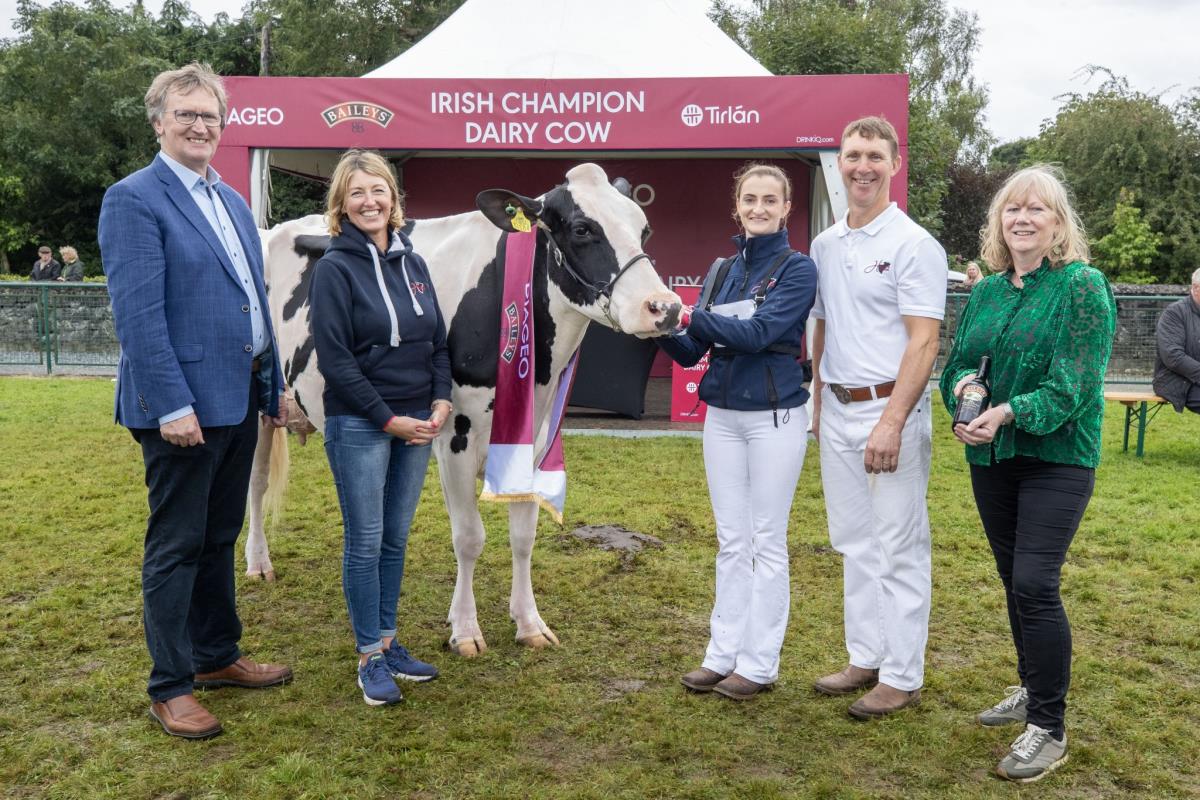 Irish Champion Dairy Cows 2024 