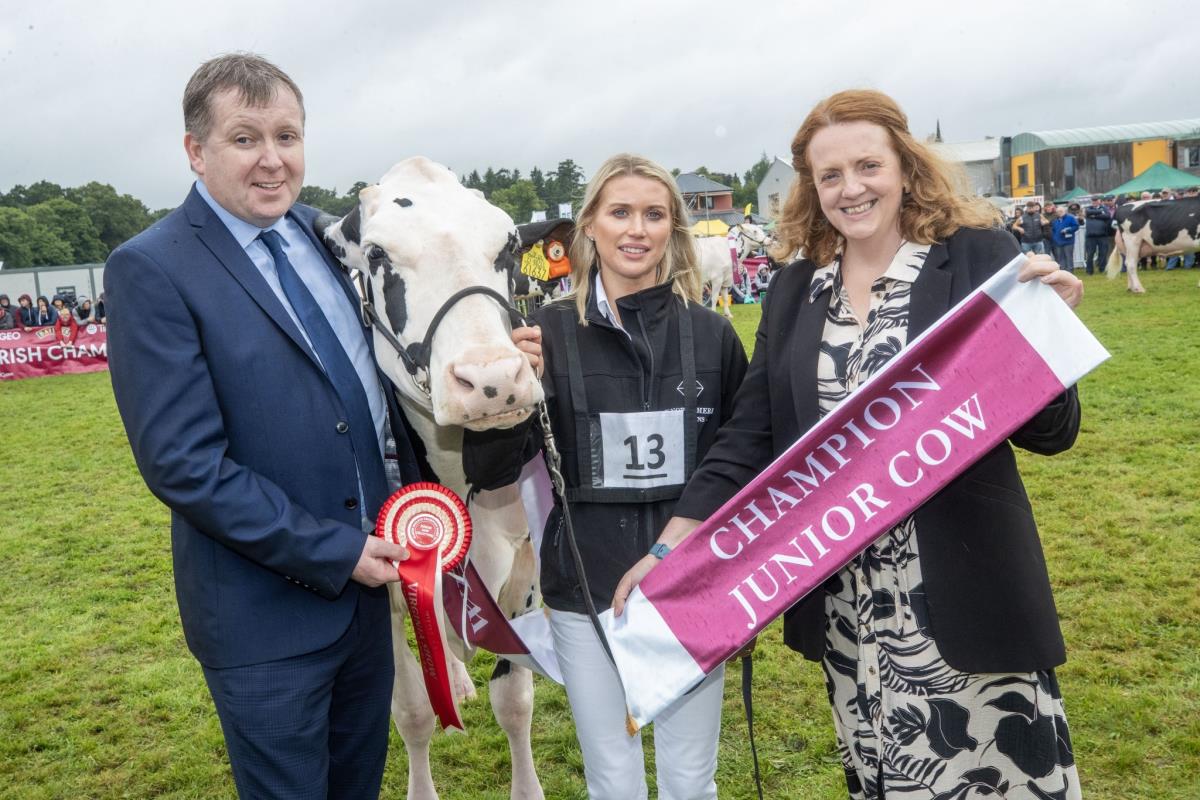 Irish Champion Dairy Cows 2024 