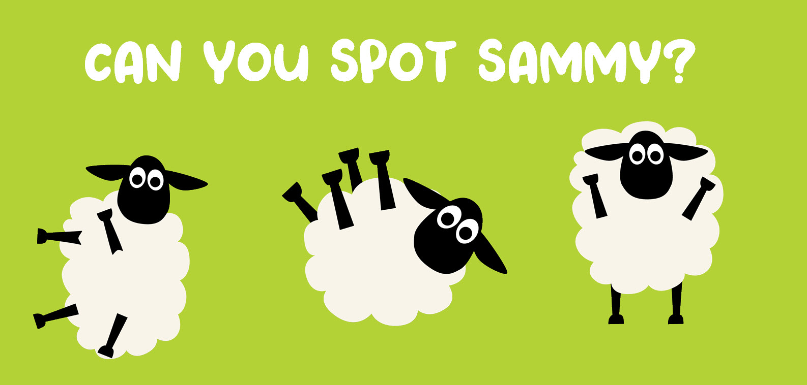 The sneaky little sheep that loves to hide